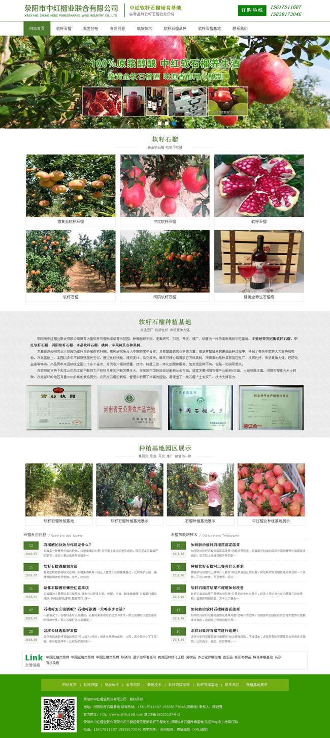 軟籽石榴_軟籽石榴批發(fā)價格_河南軟籽石榴 -滎陽中紅石榴基地.jpg